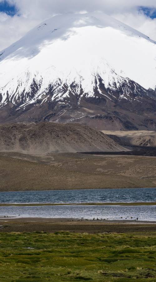 Excursiones y <span>Circuitos Turísticos</span> en el altiplano Chileno