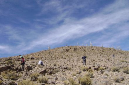 Parque Nac. Lauca + Reserva Nac. Las Vicuñas + Parque Nac. Volcán Isluga 4D/3N