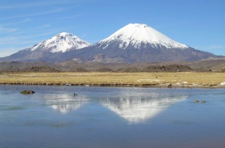 Parque Nacional Lauca 2D/1N