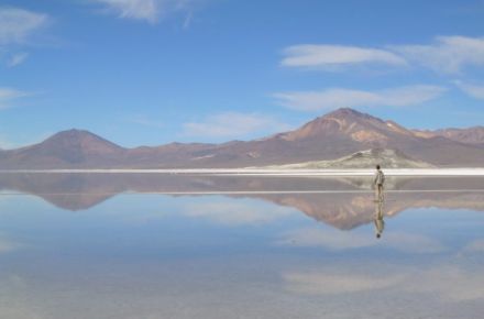 Reserva Nacional Las Vicuñas + Parque Nacional Lauca 3D/2N